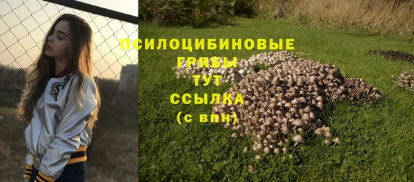 MESCALINE Елабуга