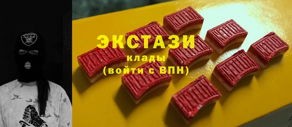 гидра Ельня