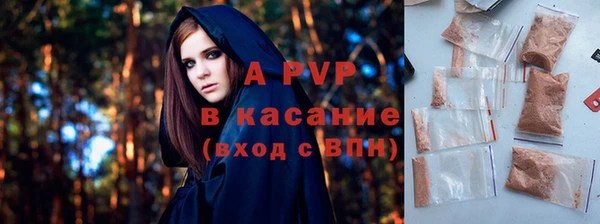 гидра Ельня