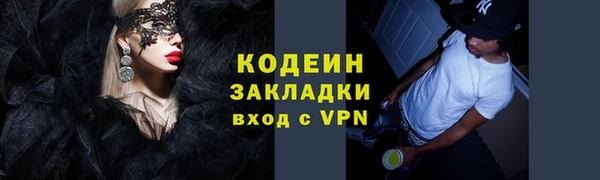 гидра Ельня