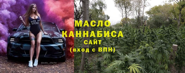 гидра Ельня