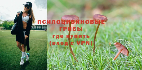 гидра Ельня
