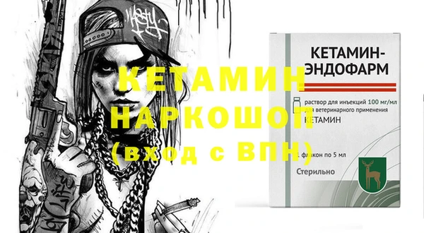 гидра Ельня