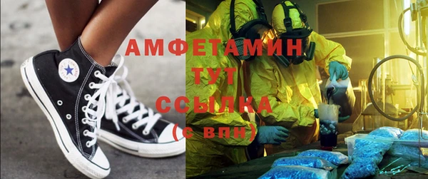 гидра Ельня