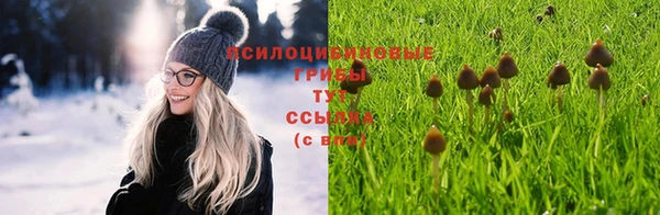 гидра Ельня