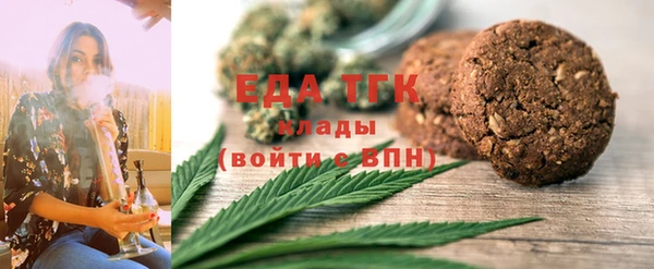 гидра Ельня