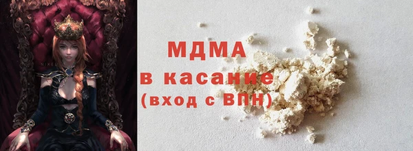гидра Ельня