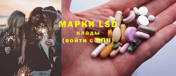 гидра Ельня