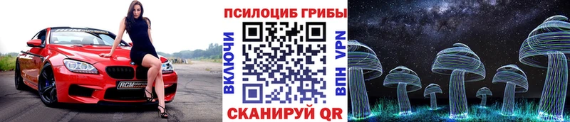 Купить где  Малгобек  Псилоцибиновые грибы MAGIC MUSHROOMS 